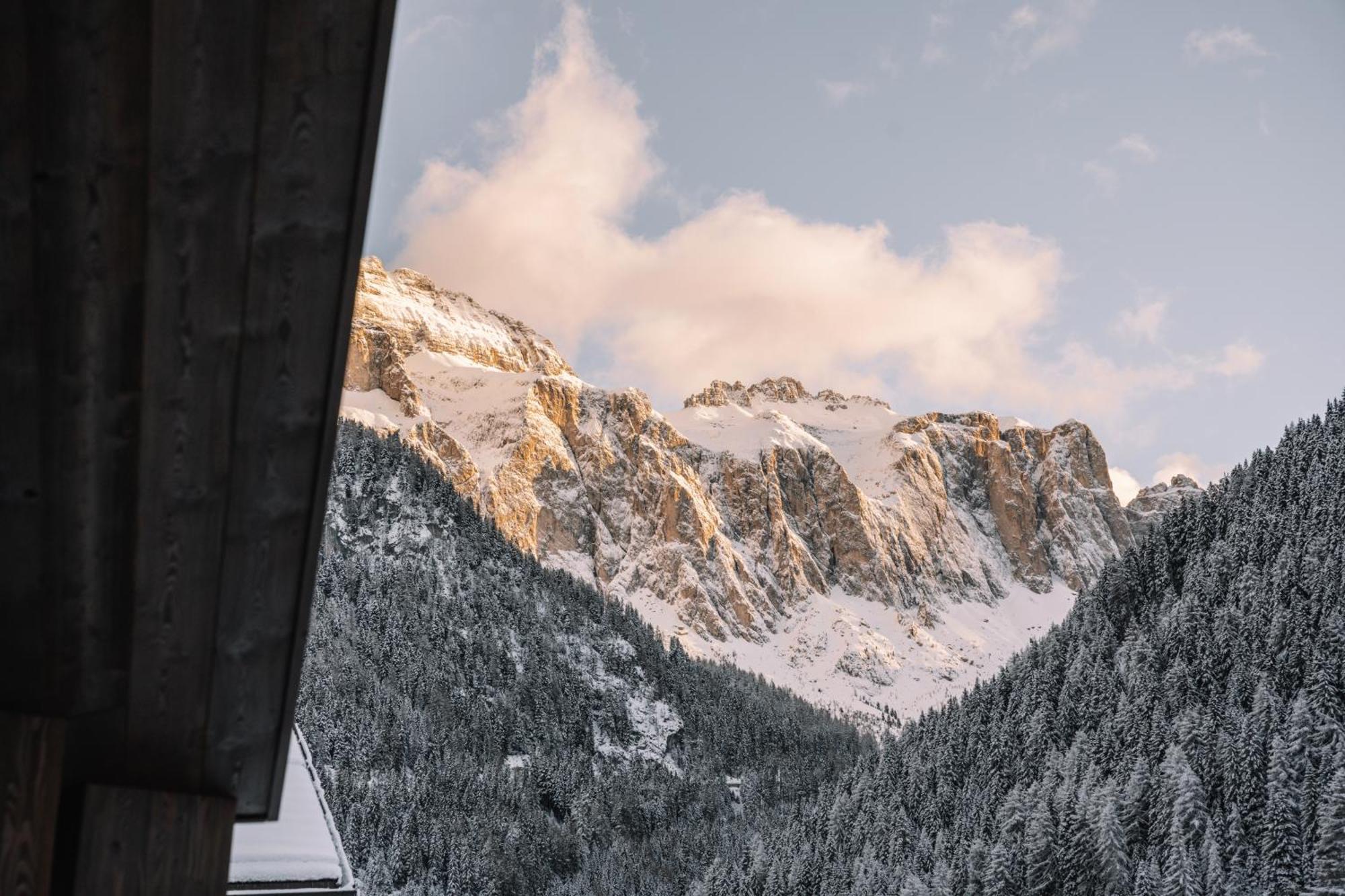 Residence Chalet L'Salvan Selva di Val Gardena Exterior foto